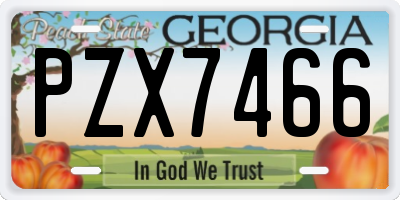 GA license plate PZX7466