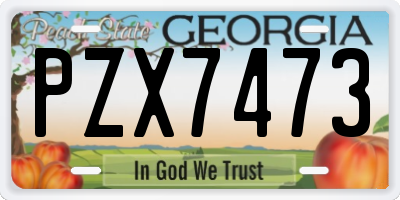 GA license plate PZX7473