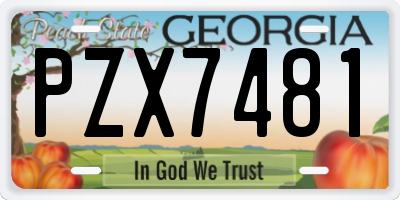GA license plate PZX7481