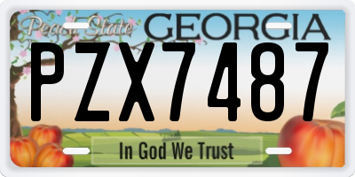 GA license plate PZX7487
