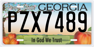 GA license plate PZX7489