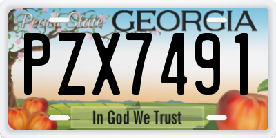 GA license plate PZX7491