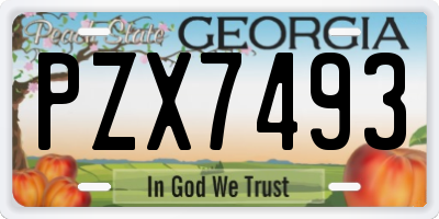 GA license plate PZX7493
