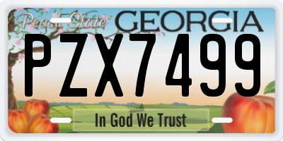 GA license plate PZX7499