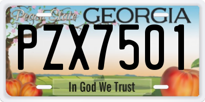 GA license plate PZX7501