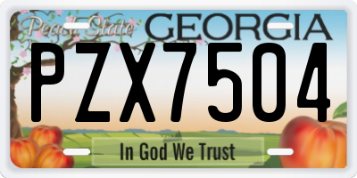 GA license plate PZX7504