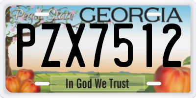 GA license plate PZX7512
