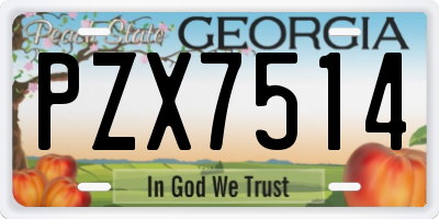 GA license plate PZX7514