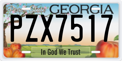GA license plate PZX7517