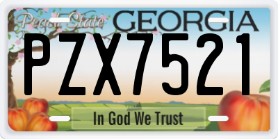 GA license plate PZX7521