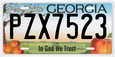 GA license plate PZX7523