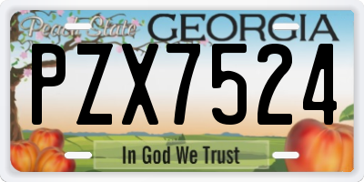 GA license plate PZX7524