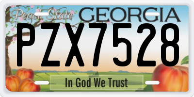 GA license plate PZX7528