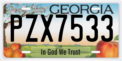 GA license plate PZX7533