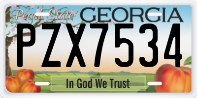 GA license plate PZX7534