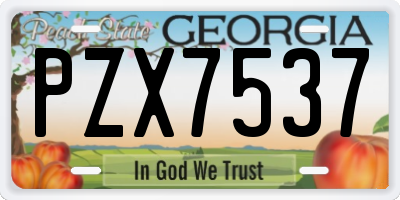 GA license plate PZX7537