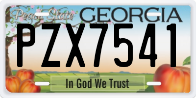 GA license plate PZX7541
