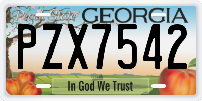 GA license plate PZX7542
