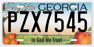 GA license plate PZX7545