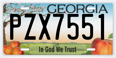 GA license plate PZX7551