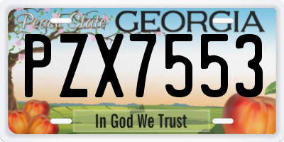 GA license plate PZX7553