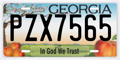 GA license plate PZX7565