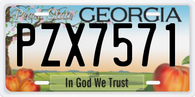 GA license plate PZX7571