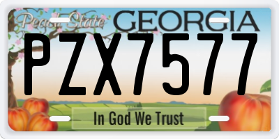 GA license plate PZX7577