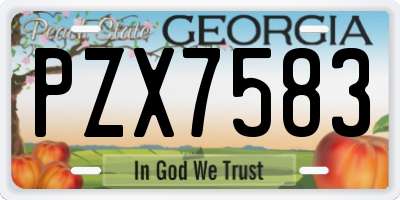 GA license plate PZX7583