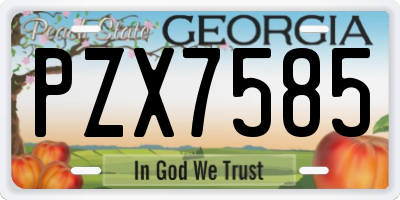 GA license plate PZX7585