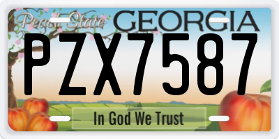 GA license plate PZX7587