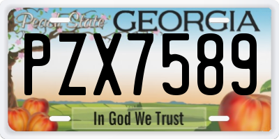 GA license plate PZX7589
