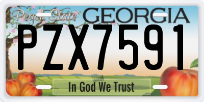 GA license plate PZX7591