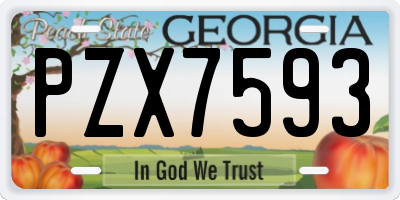 GA license plate PZX7593