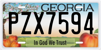 GA license plate PZX7594