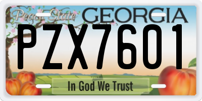 GA license plate PZX7601