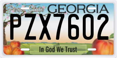 GA license plate PZX7602