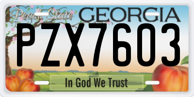 GA license plate PZX7603