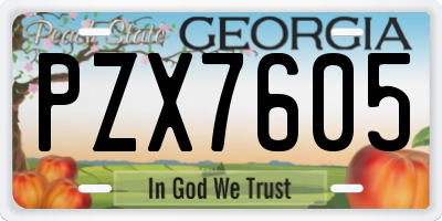 GA license plate PZX7605