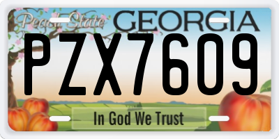 GA license plate PZX7609