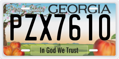 GA license plate PZX7610