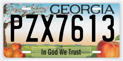 GA license plate PZX7613