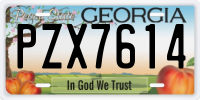GA license plate PZX7614