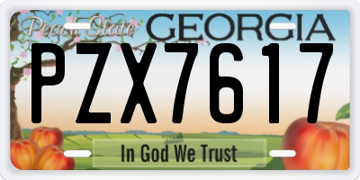 GA license plate PZX7617