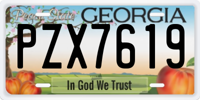 GA license plate PZX7619