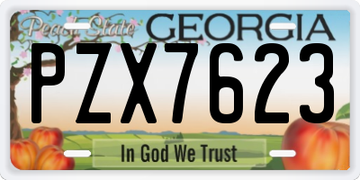 GA license plate PZX7623