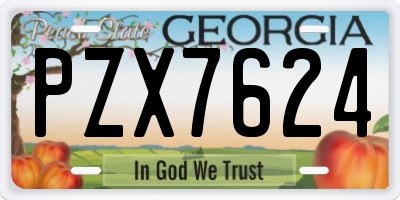 GA license plate PZX7624
