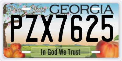 GA license plate PZX7625