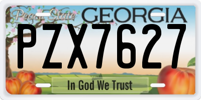 GA license plate PZX7627