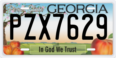 GA license plate PZX7629